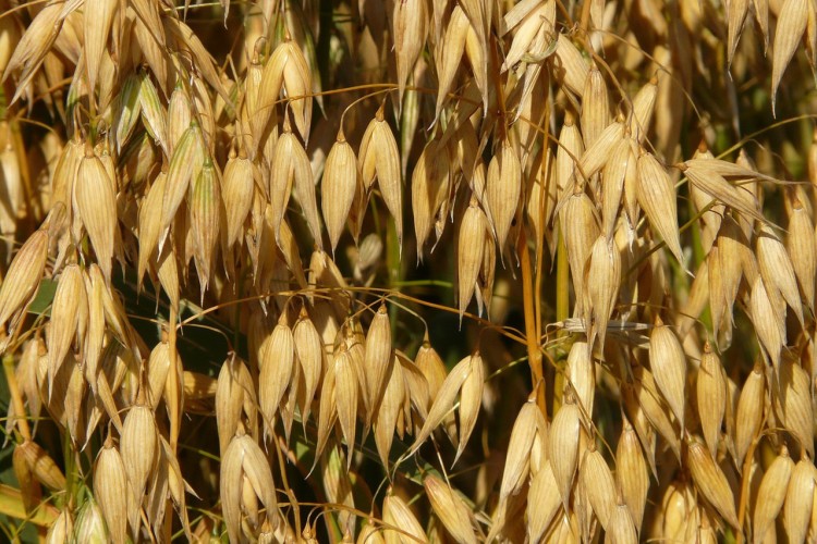 blog image